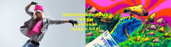 тгк Новокубанск