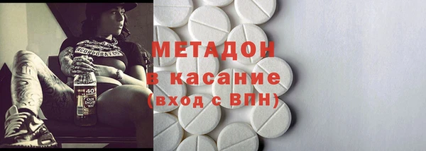 прущие грибы Новозыбков