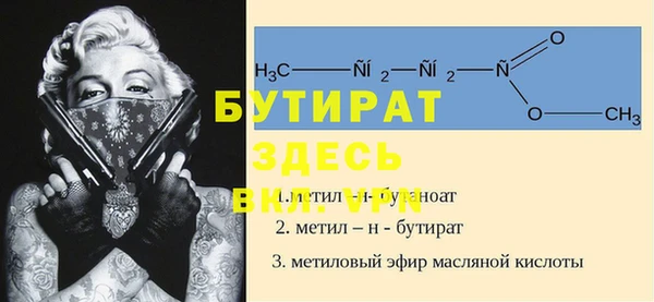 прущие грибы Новозыбков