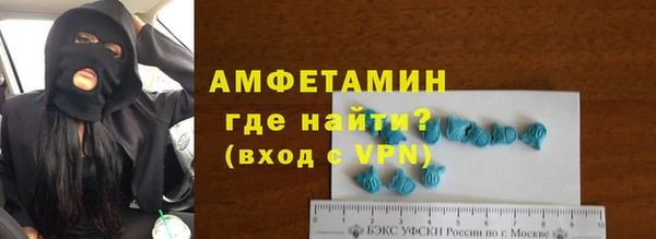 прущие грибы Новозыбков