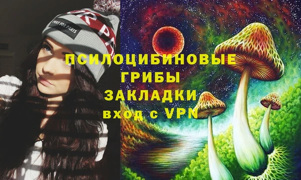 прущие крисы Нея