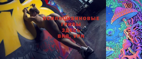 дмт Новодвинск